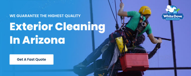 White Dove Windows Graphic 1000x400 2 768x307