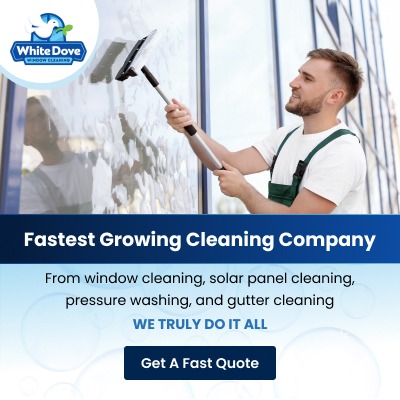 White Dove Windows Graphic 400x400 2