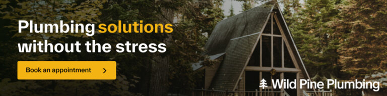Wild Pine Plumbing 1000x250 Graphic 768x192