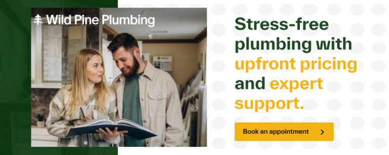 Wild Pine Plumbing 1000x400 Graphic 768x307