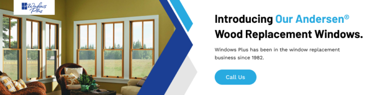 Windows Plus Cincinnati Graphics 1000x250 1 768x192