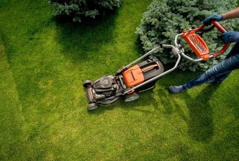 landscape design near me 768x517