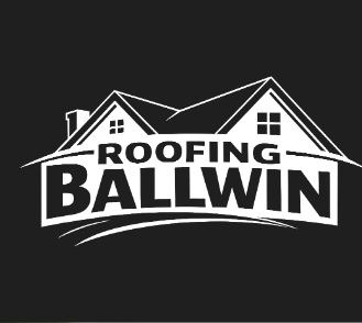 logo 1 63