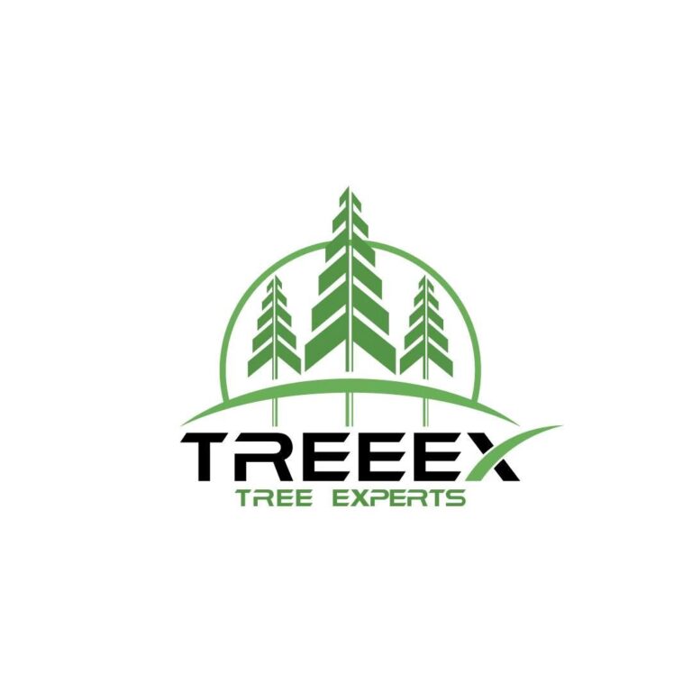 logo 1 73 768x768