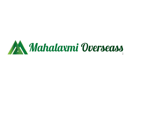 mahavoresh logo PRO