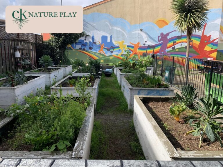 natural playground builder 768x576