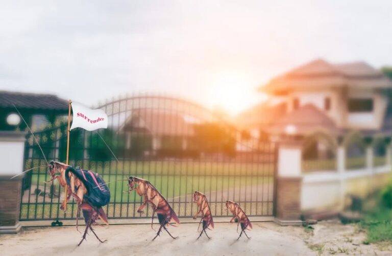 pest control companies near me 768x501