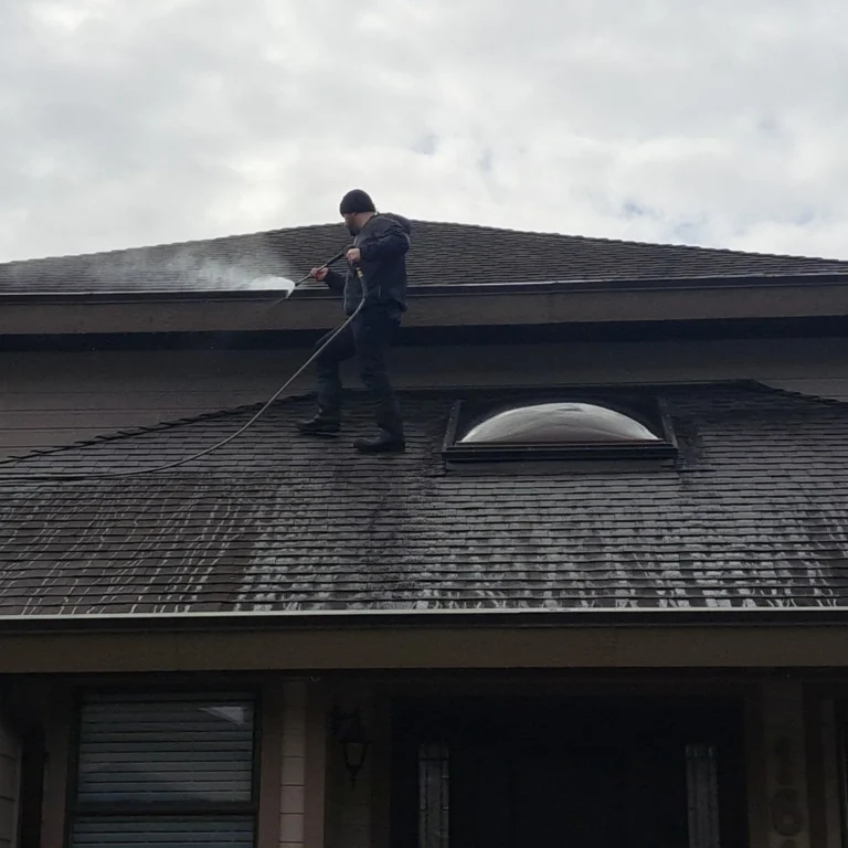 pressure washing vancouver by grade a painters professional painting company 768x768