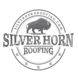 silver horn