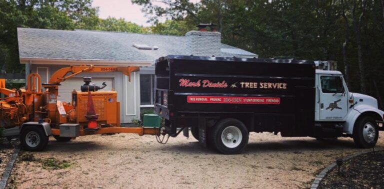 tree service east hampton ny 2 768x379