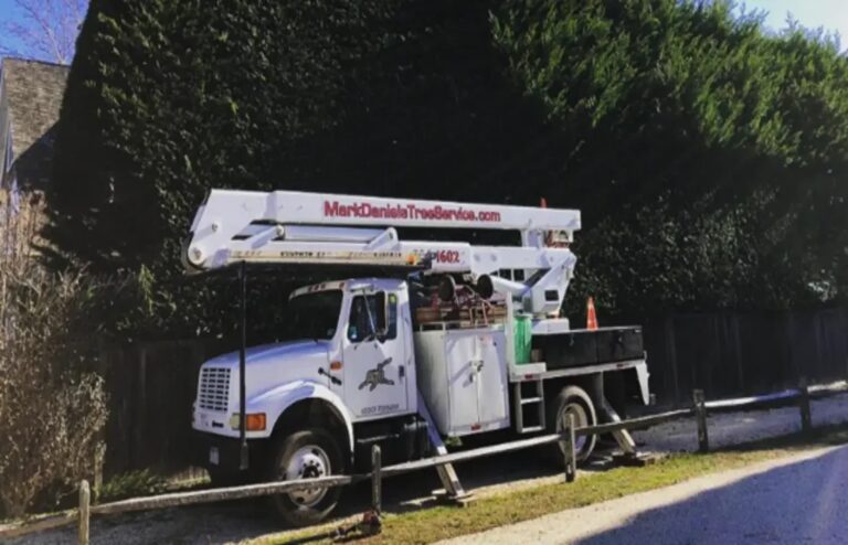 tree service southampton ny 1 768x494
