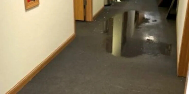 water damage restoration service near me 768x384